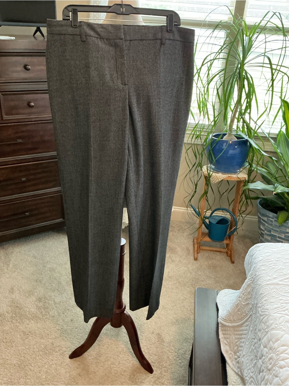 Classic Men's Dress Pants in Charcoal Gray